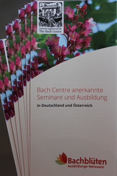 Bachblüten Ausbildung Flyer