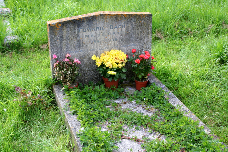 Dr Bachs grave
