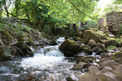 Rock Water-Bachbl&uuml;ten