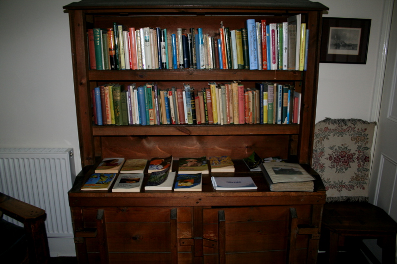 the bookshelves at Mt. Vernon